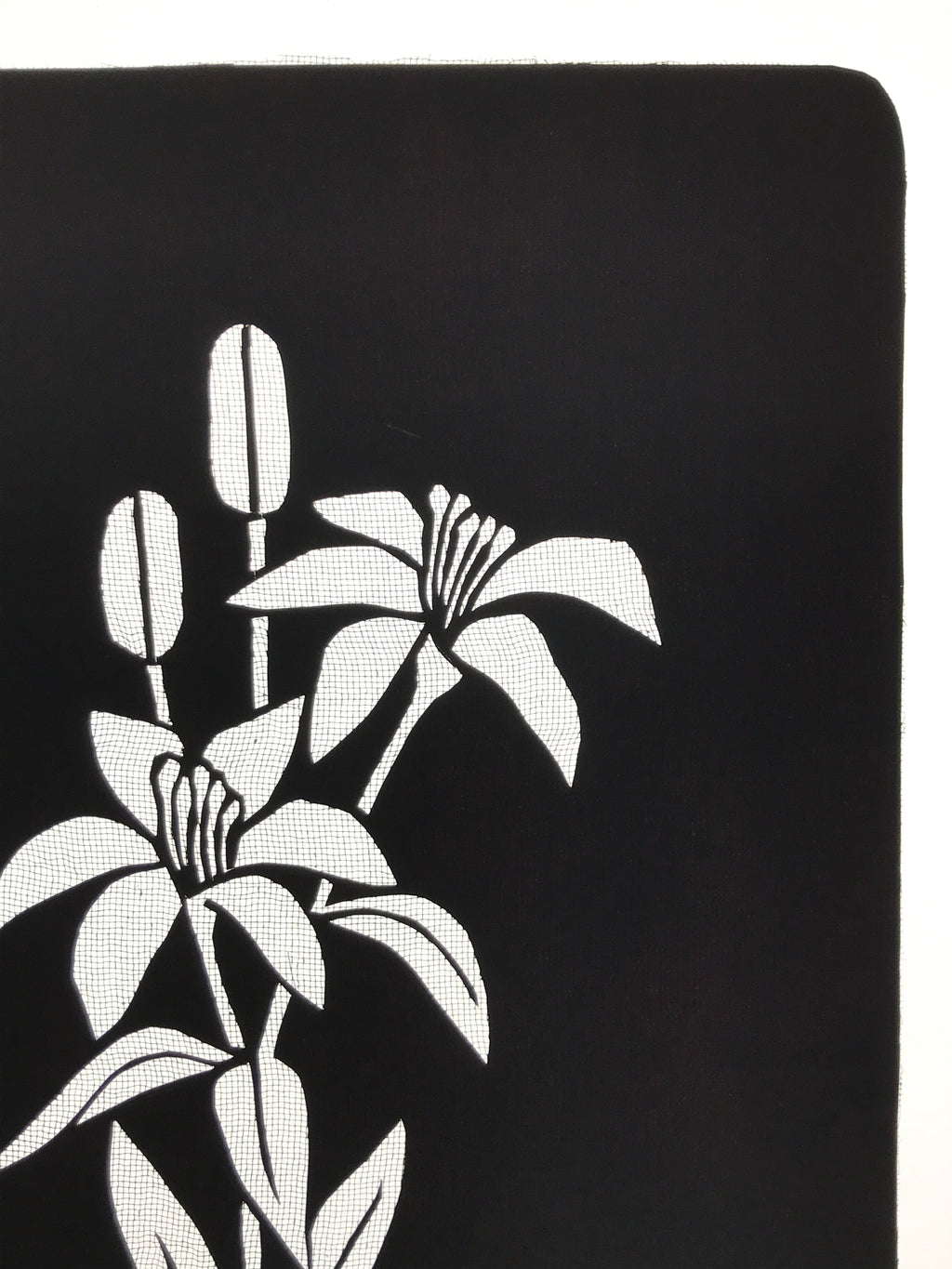 Antique Japanese Katagami Paper Kimono Stencil Katazome Yuri Lily Flowers A775