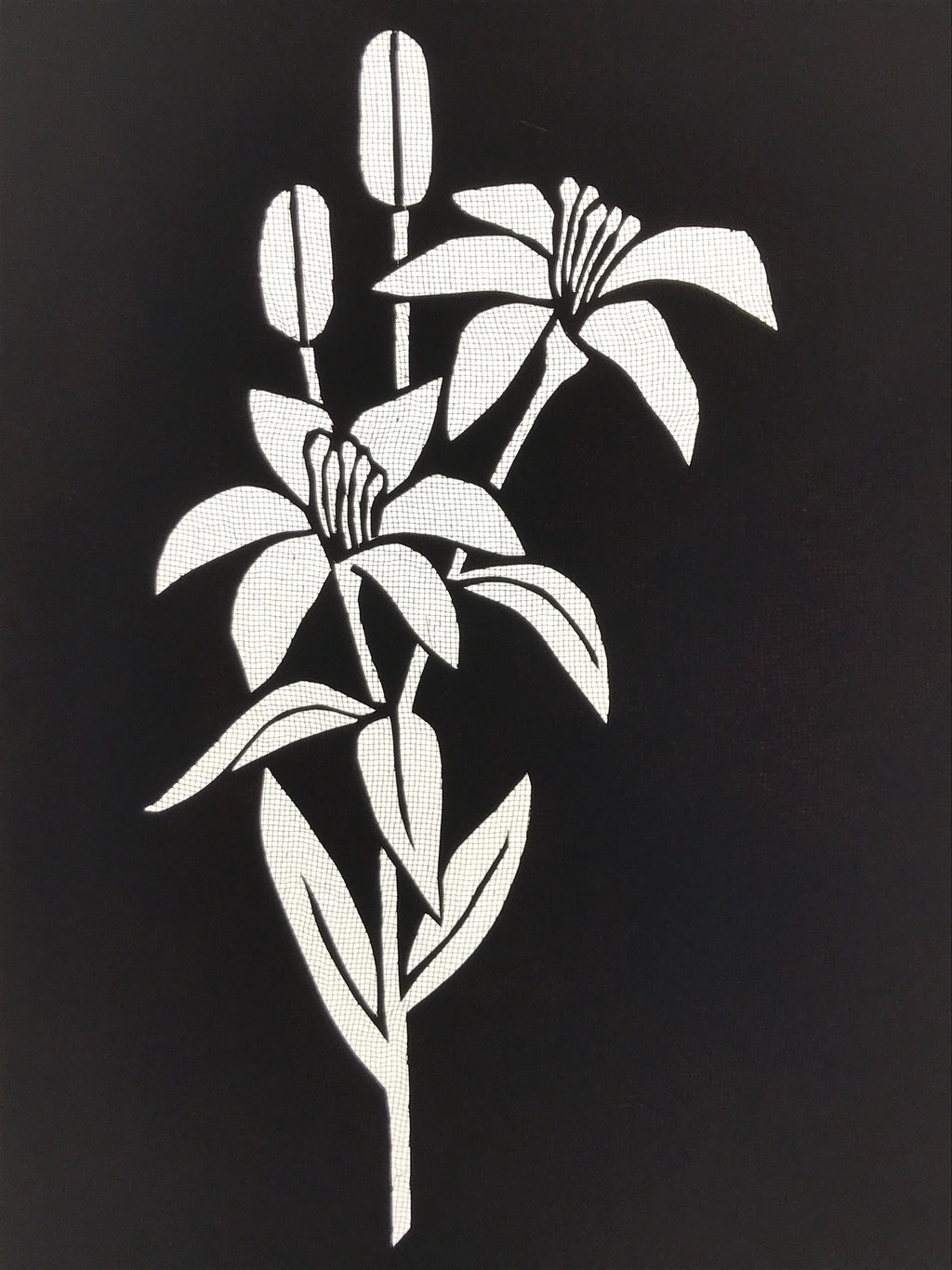 Antique Japanese Katagami Paper Kimono Stencil Katazome Yuri Lily Flowers A775
