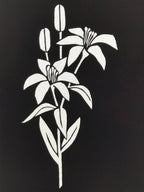 Antique Japanese Katagami Paper Kimono Stencil Katazome Yuri Lily Flowers A775