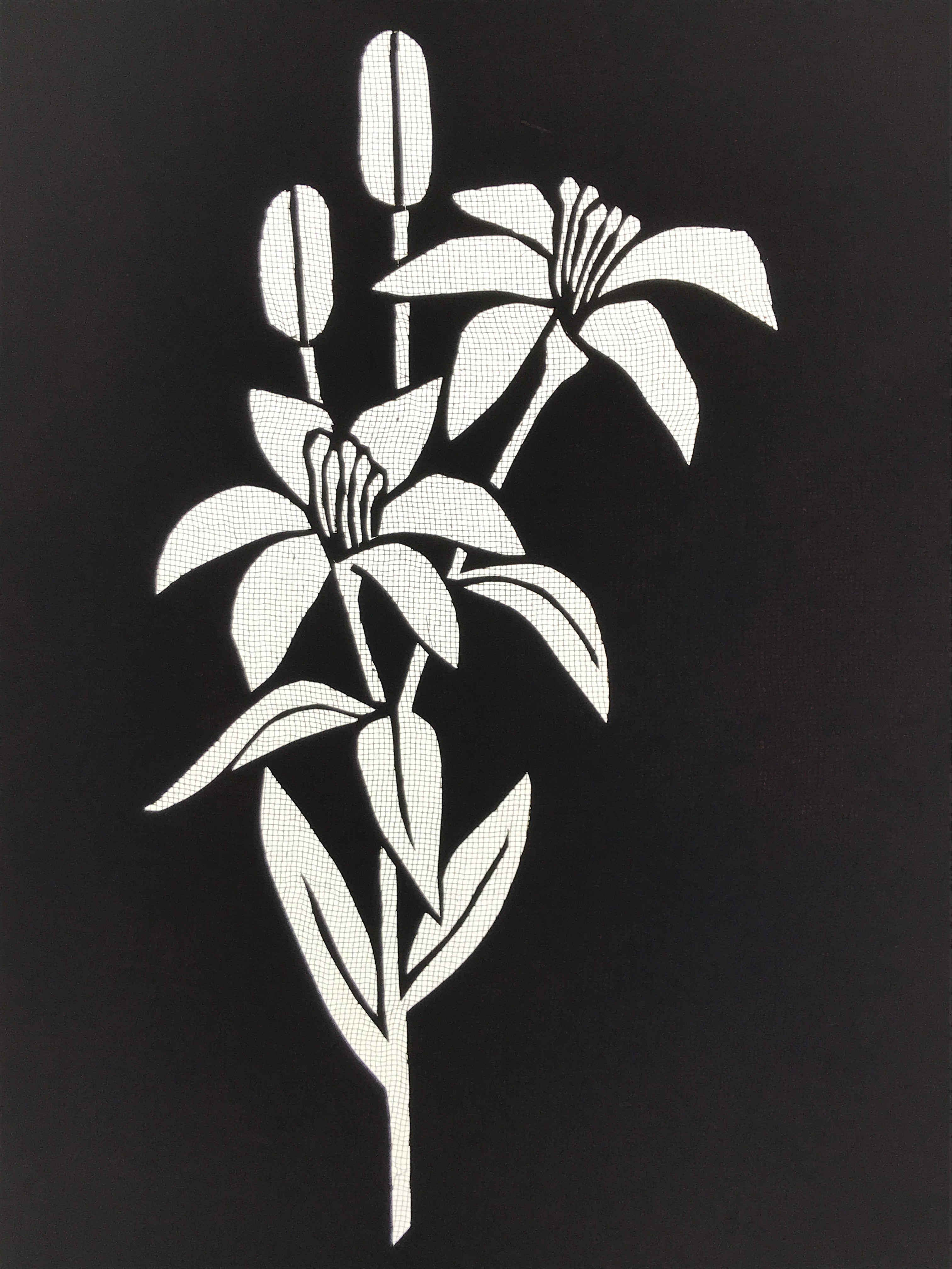 Antique Japanese Katagami Paper Kimono Stencil Katazome Yuri Lily Flowers A775