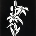 Antique Japanese Katagami Paper Kimono Stencil Katazome Yuri Lily Flowers A775