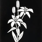 Antique Japanese Katagami Paper Kimono Stencil Katazome Yuri Lily Flowers A775