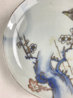 Antique Japanese Koimari Imari Plate Plum Blossom Nightingale Kozara Gold PY364