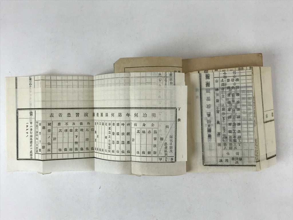 Antique Japanese Military Field Instruction Manual C1900 Meiji Army Book P344