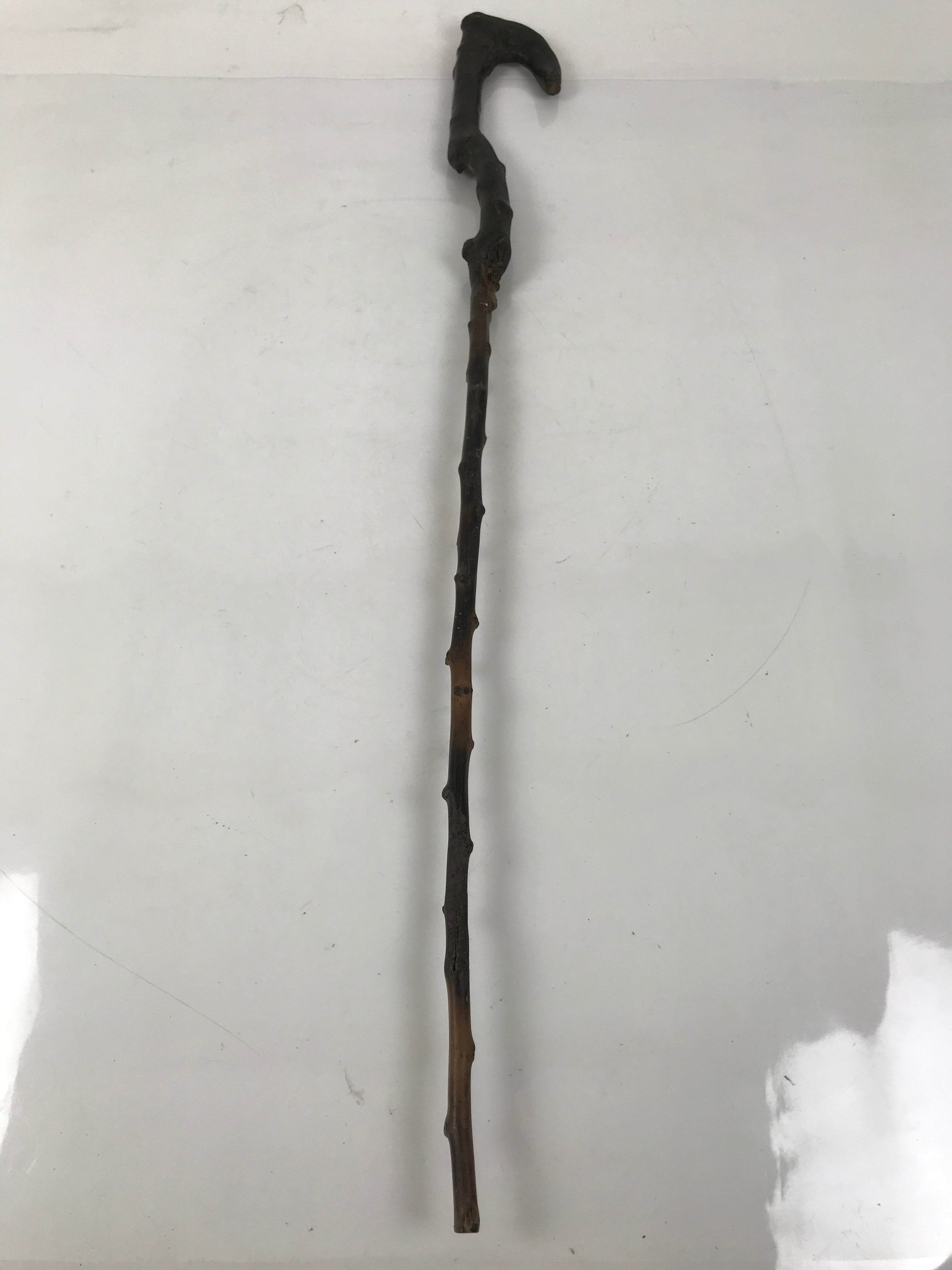 Antique Japanese Natural Tree Branch Cane Walking Stick Tsue Brown Wood JK859