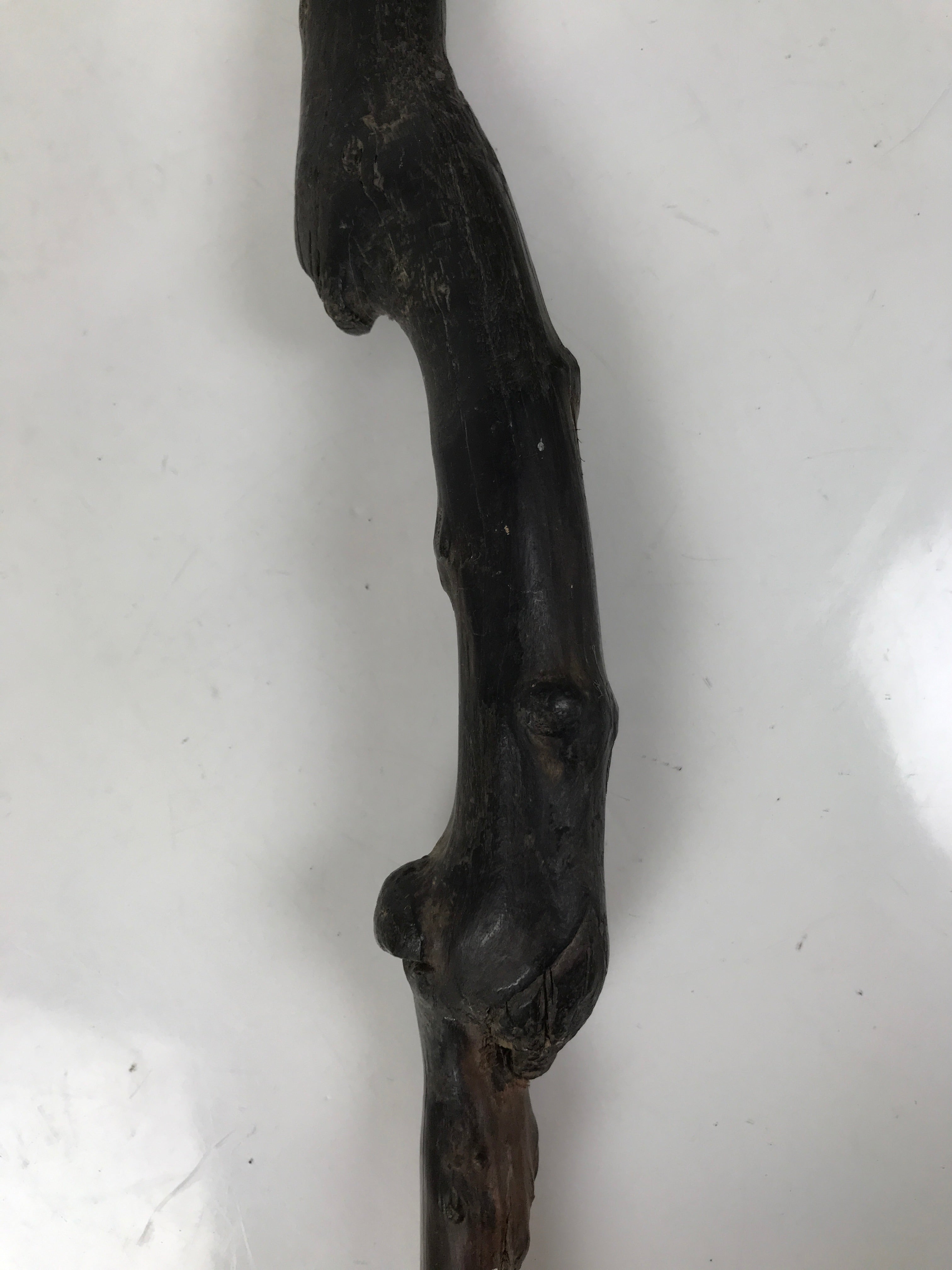 Antique Japanese Natural Tree Branch Cane Walking Stick Tsue Brown Wood JK859
