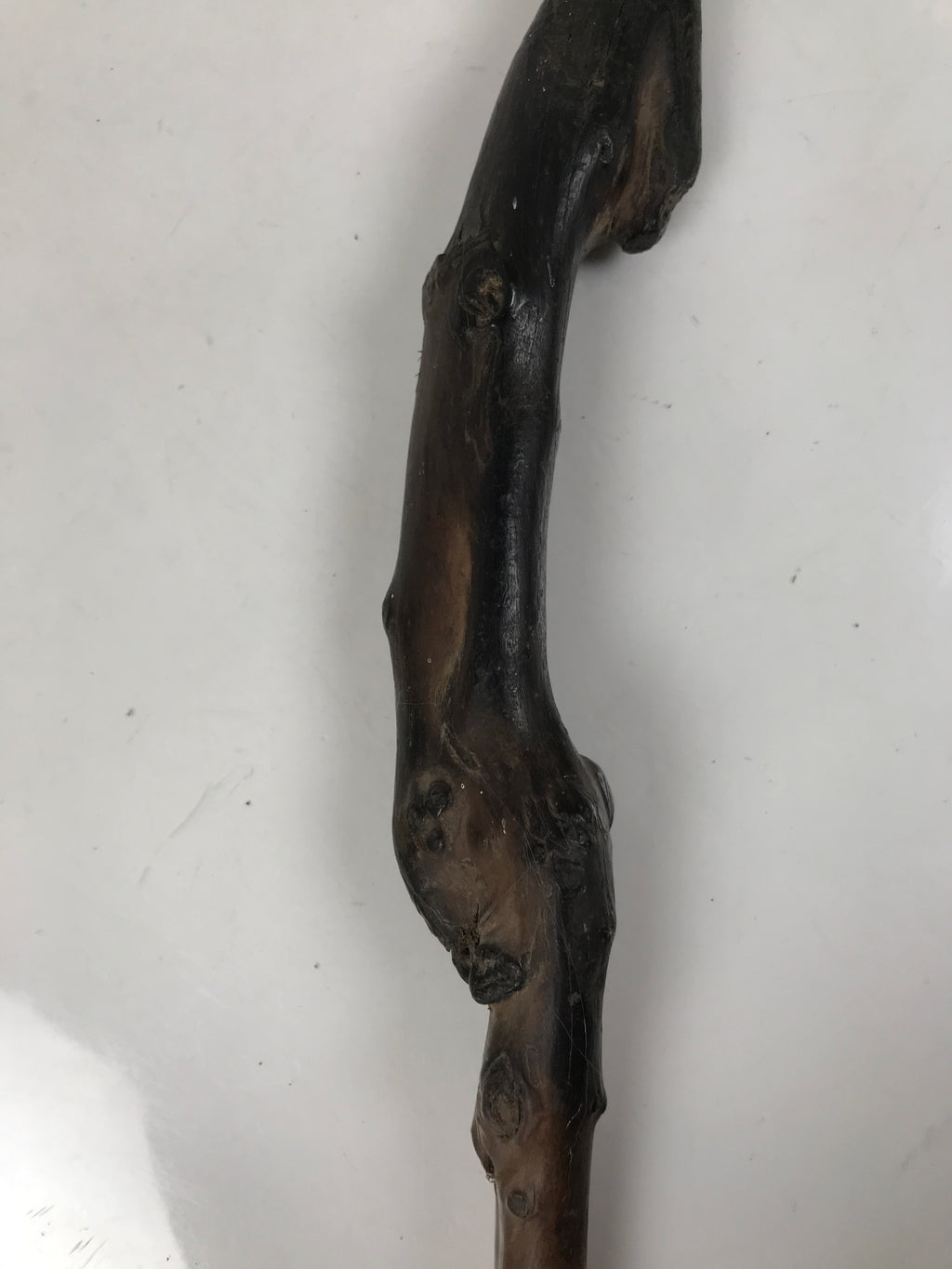 Antique Japanese Natural Tree Branch Cane Walking Stick Tsue Brown Wood JK859