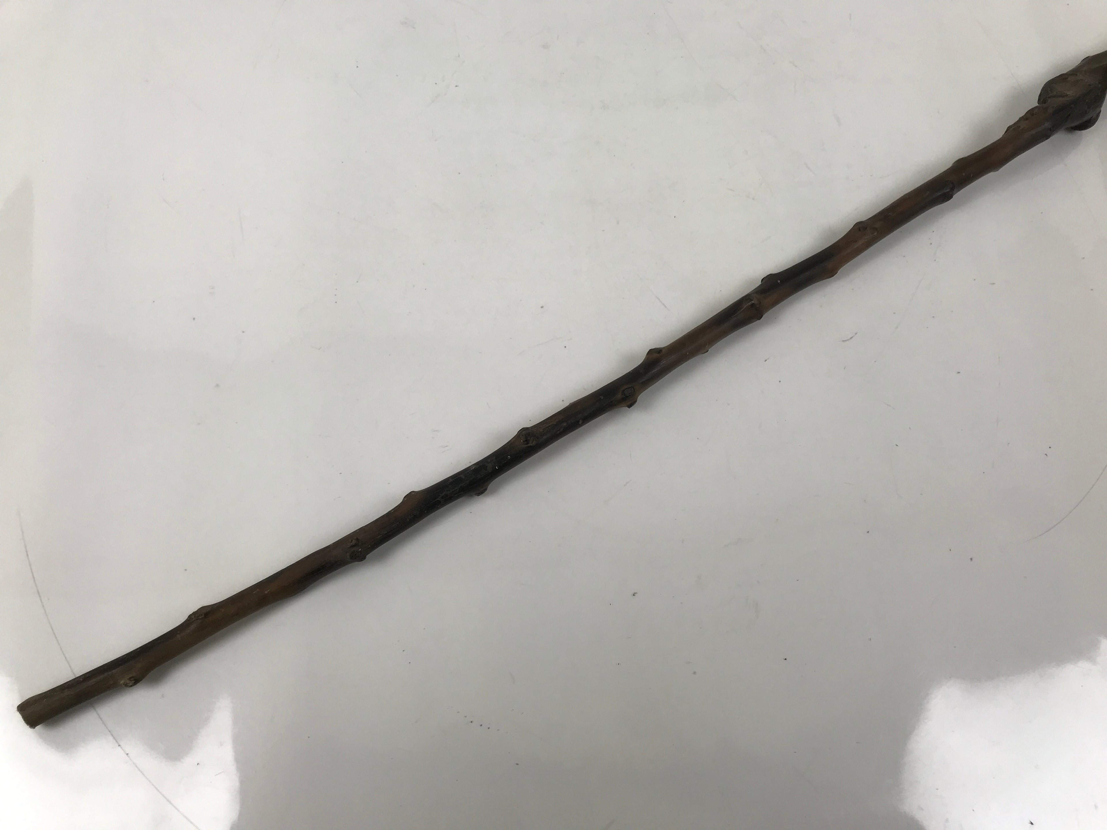 Antique Japanese Natural Tree Branch Cane Walking Stick Tsue Brown Wood JK859