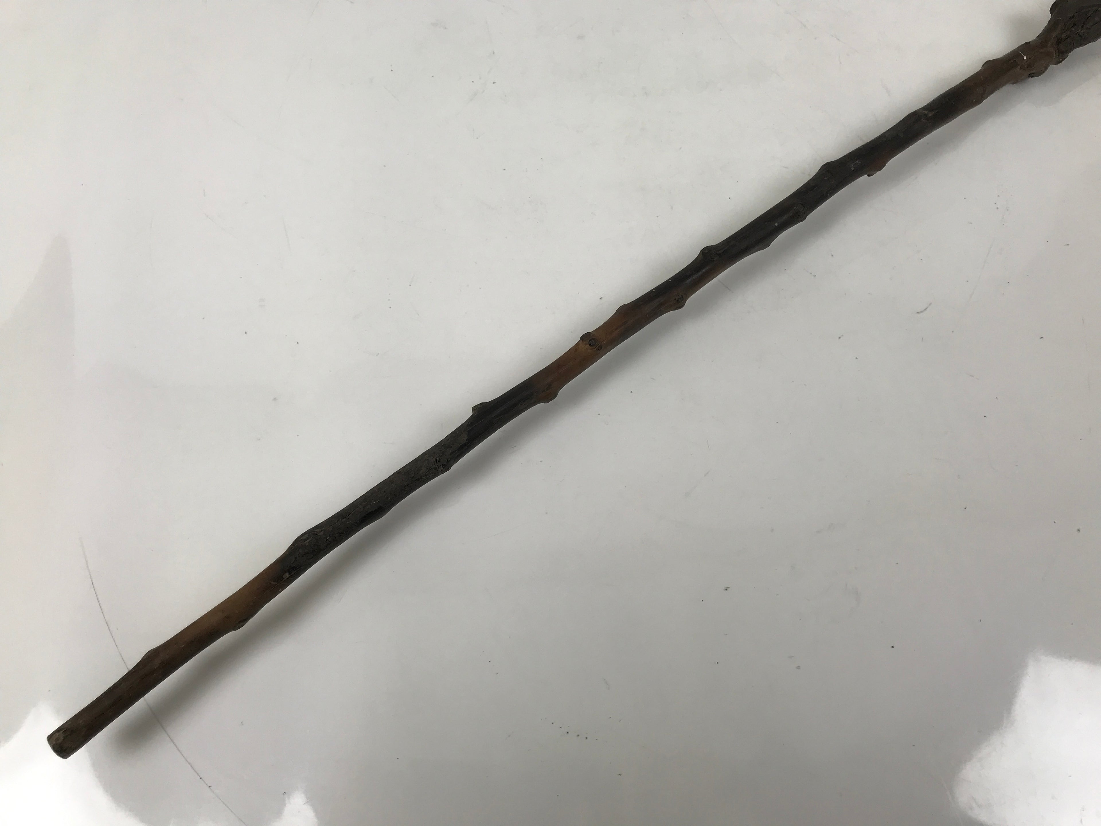 Antique Japanese Natural Tree Branch Cane Walking Stick Tsue Brown Wood JK859