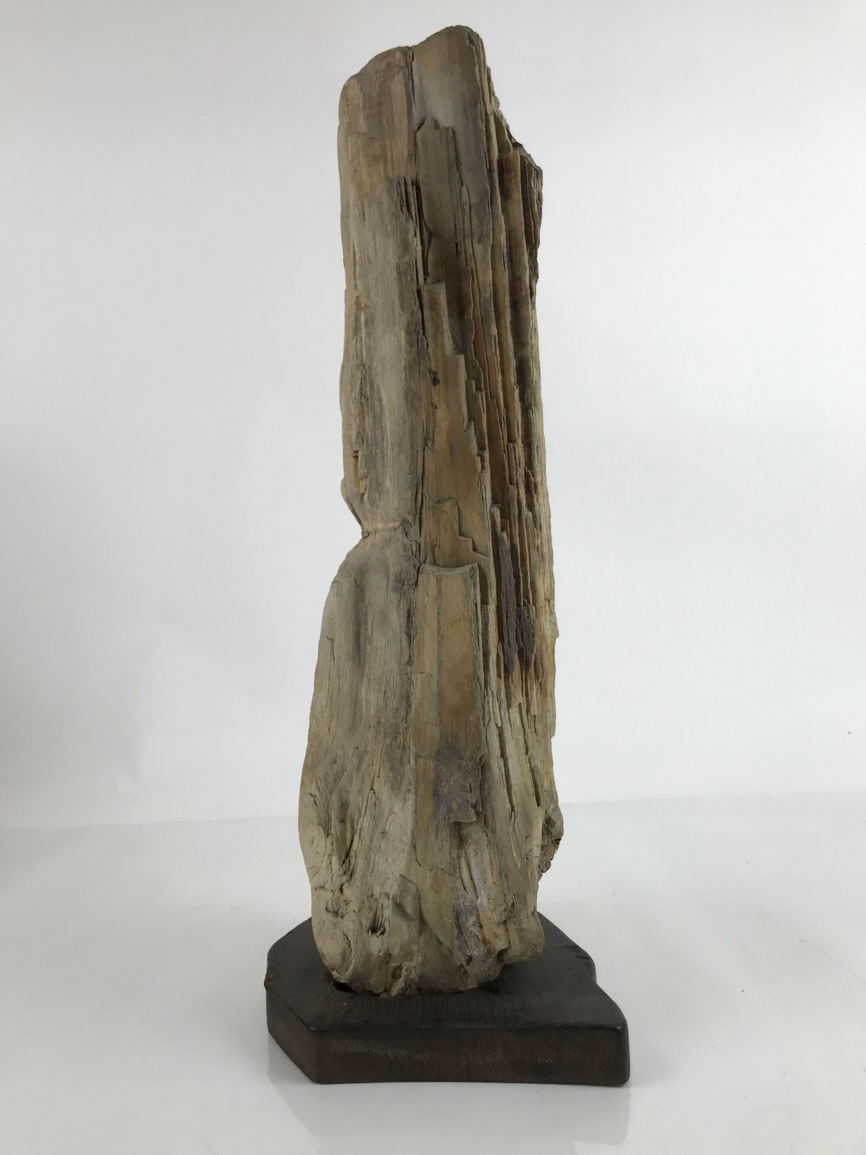 Antique Japanese Petrified Wood Viewing Stone Zen Buddhist Suiseki Brown JK742