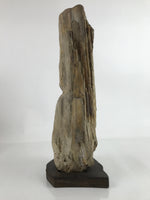 Antique Japanese Petrified Wood Viewing Stone Zen Buddhist Suiseki Brown JK742