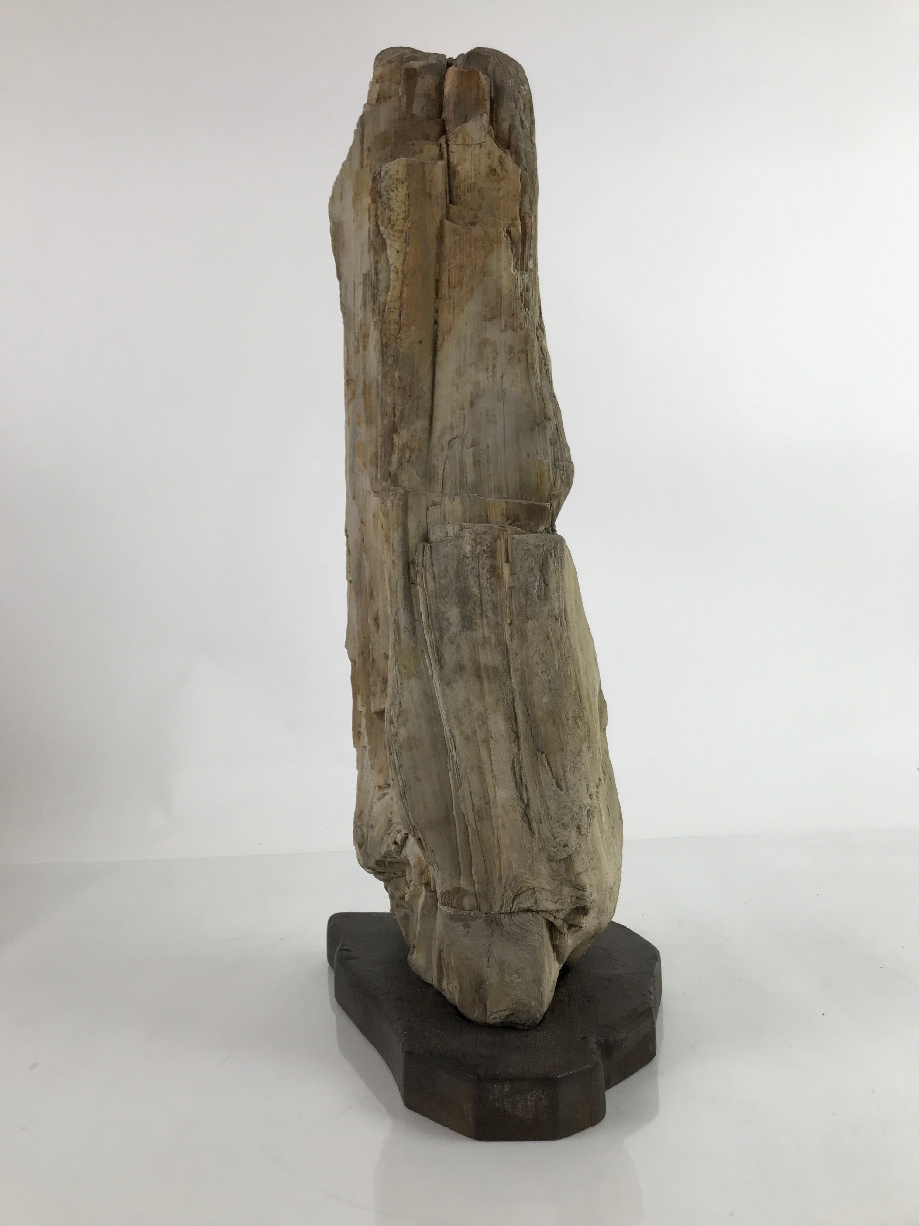 Antique Japanese Petrified Wood Viewing Stone Zen Buddhist Suiseki Brown JK742