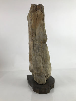 Antique Japanese Petrified Wood Viewing Stone Zen Buddhist Suiseki Brown JK742