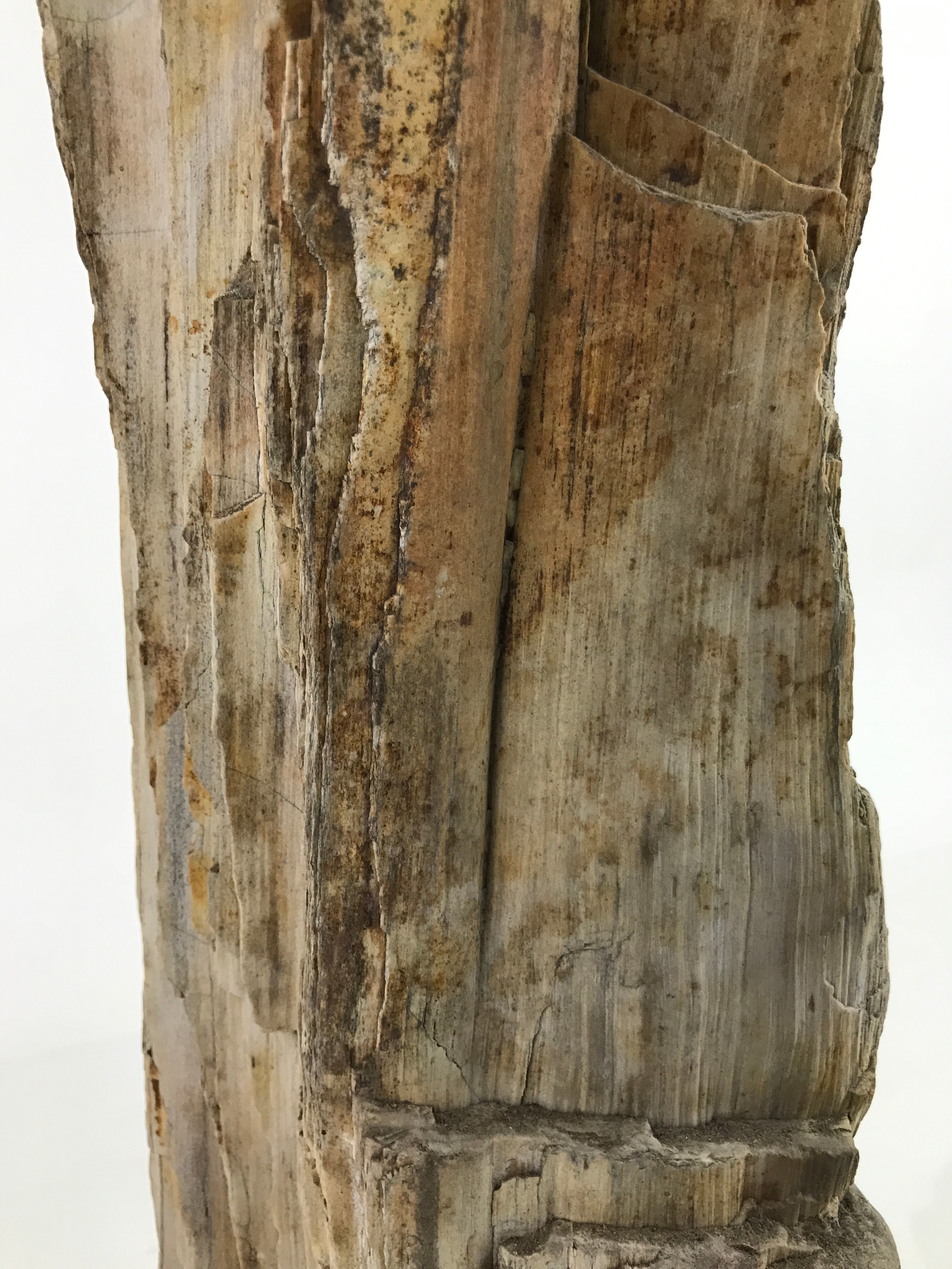 Antique Japanese Petrified Wood Viewing Stone Zen Buddhist Suiseki Brown JK742