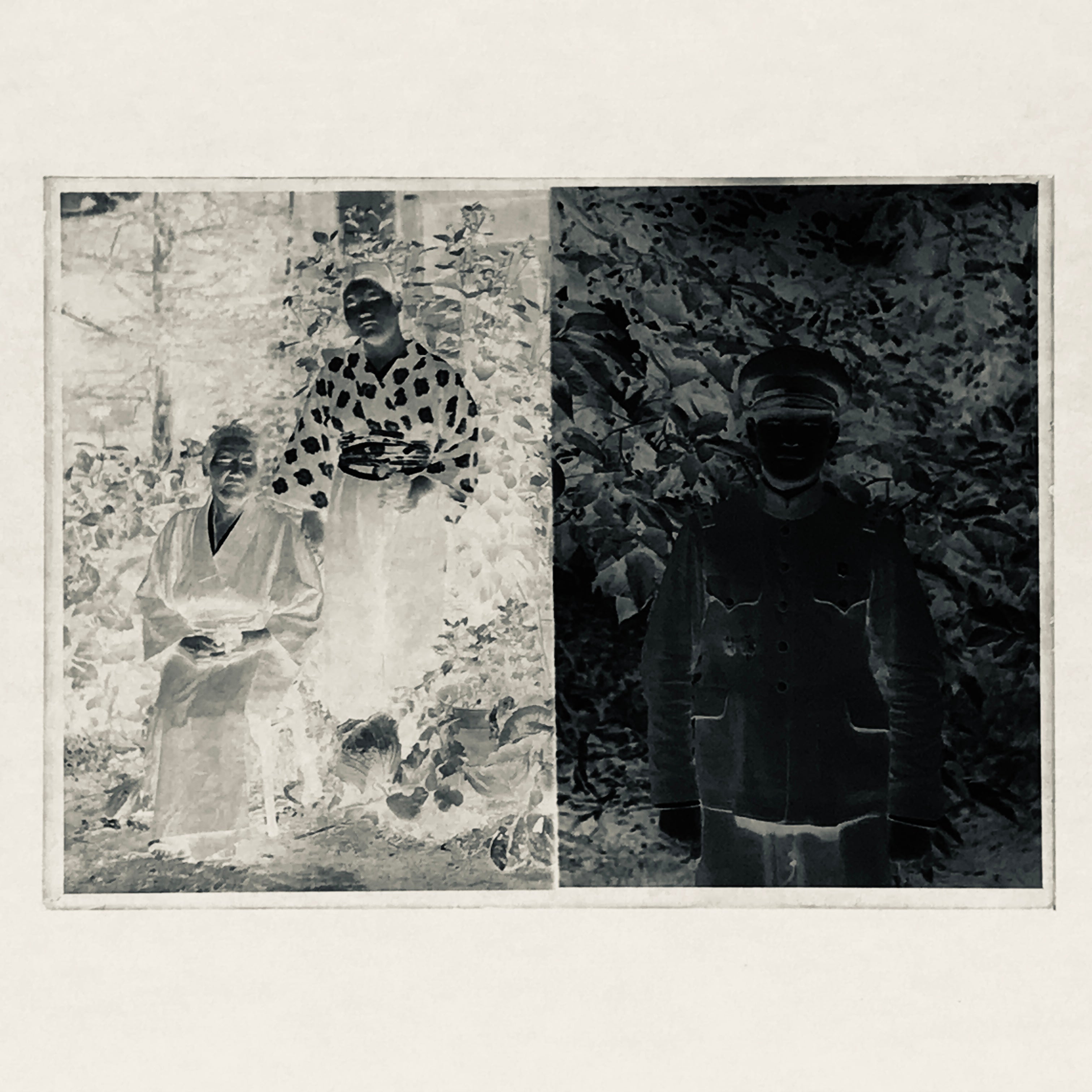 Antique Japanese Photo Glass Negative Plate C1900 Grandmother Children GN446