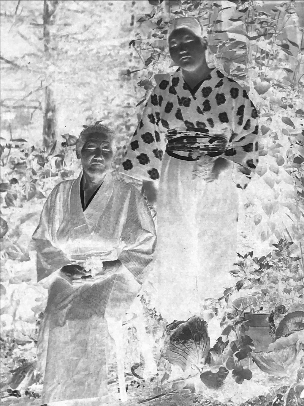 Antique Japanese Photo Glass Negative Plate C1900 Grandmother Children GN446