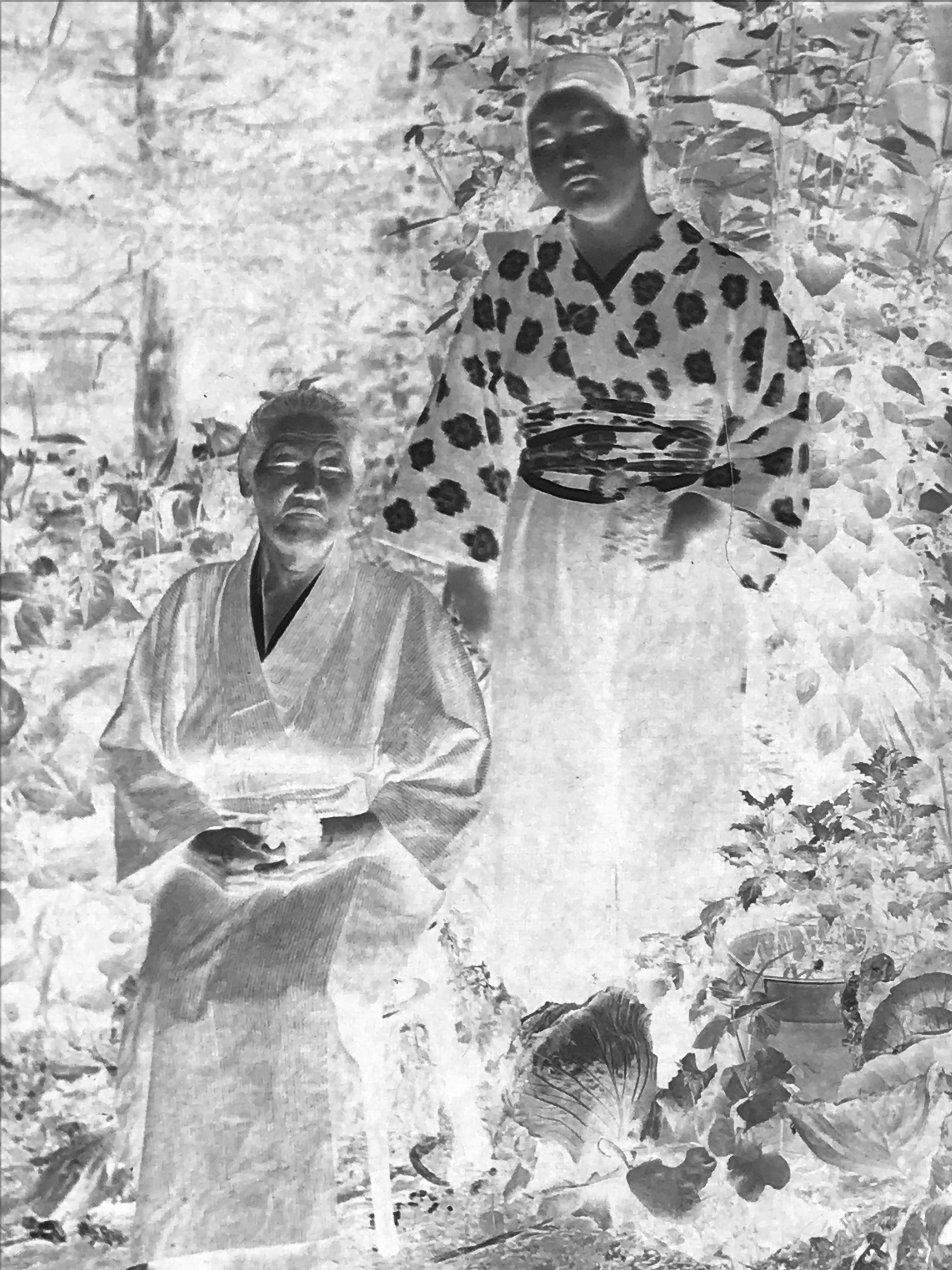 Antique Japanese Photo Glass Negative Plate C1900 Grandmother Children GN446