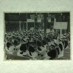 Antique Japanese Photo Glass Negative Plate C1900 Group Hall Meal Prayer GN450