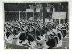 Antique Japanese Photo Glass Negative Plate C1900 Group Hall Meal Prayer GN450