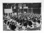 Antique Japanese Photo Glass Negative Plate C1900 Group Hall Meal Prayer GN450