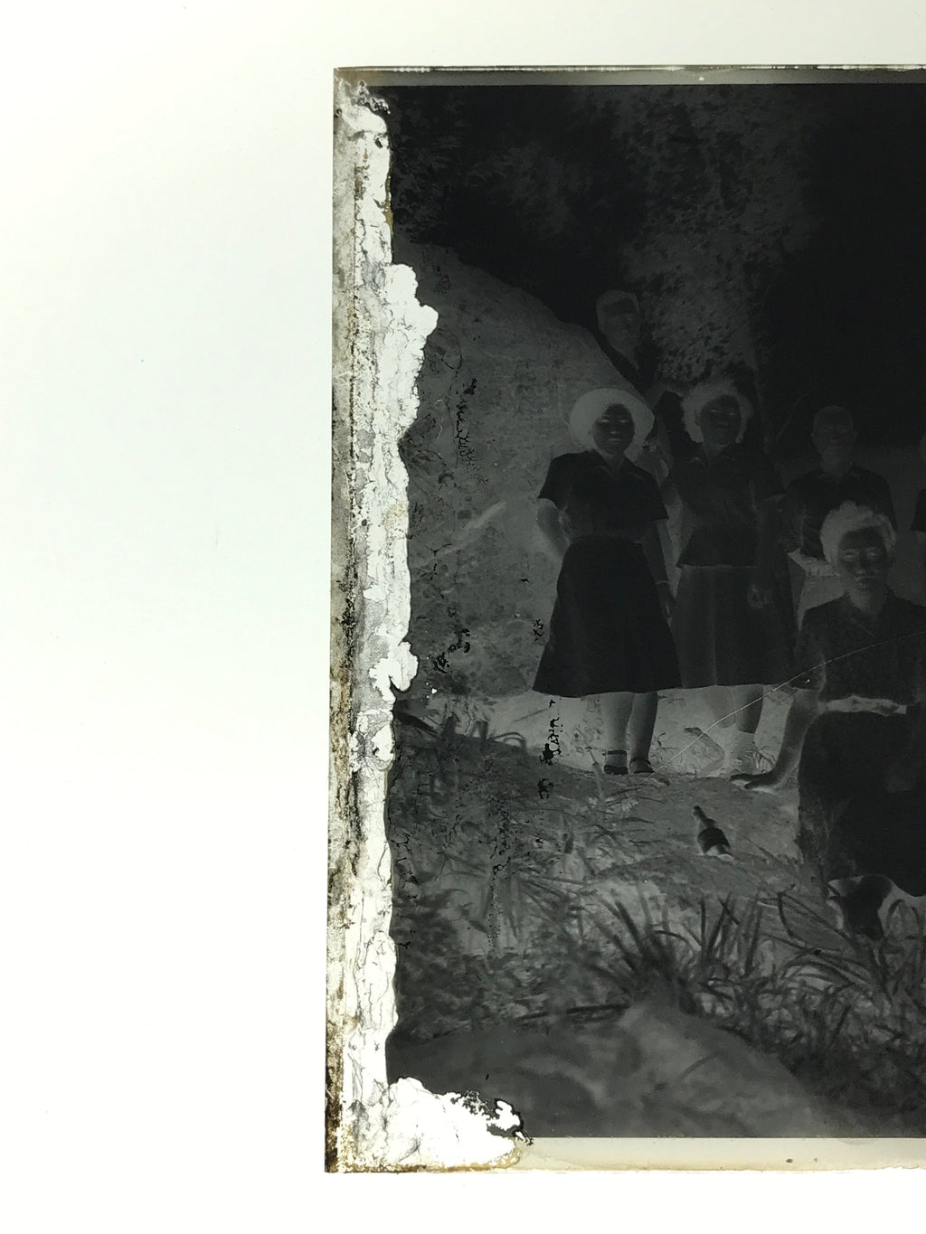 Antique Japanese Photo Glass Negative Plate C1900 Group Photo GN438