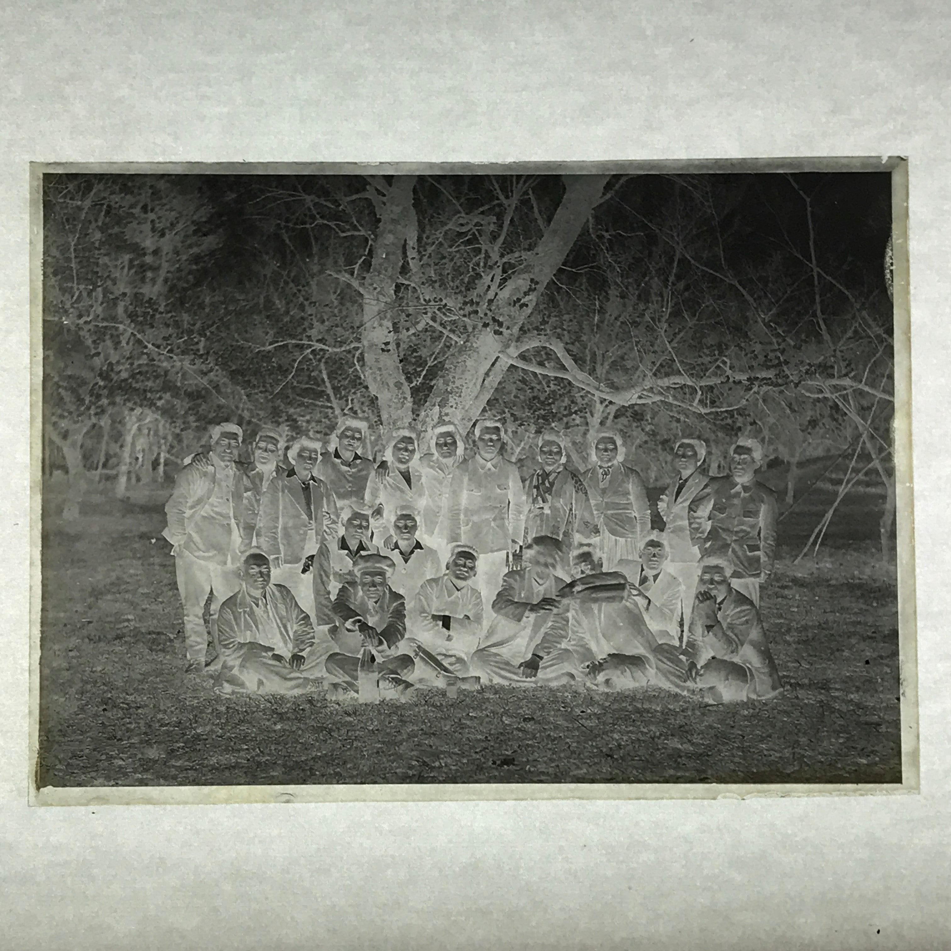 Antique Japanese Photo Glass Negative Plate C1900 Group Western Clothing GN441