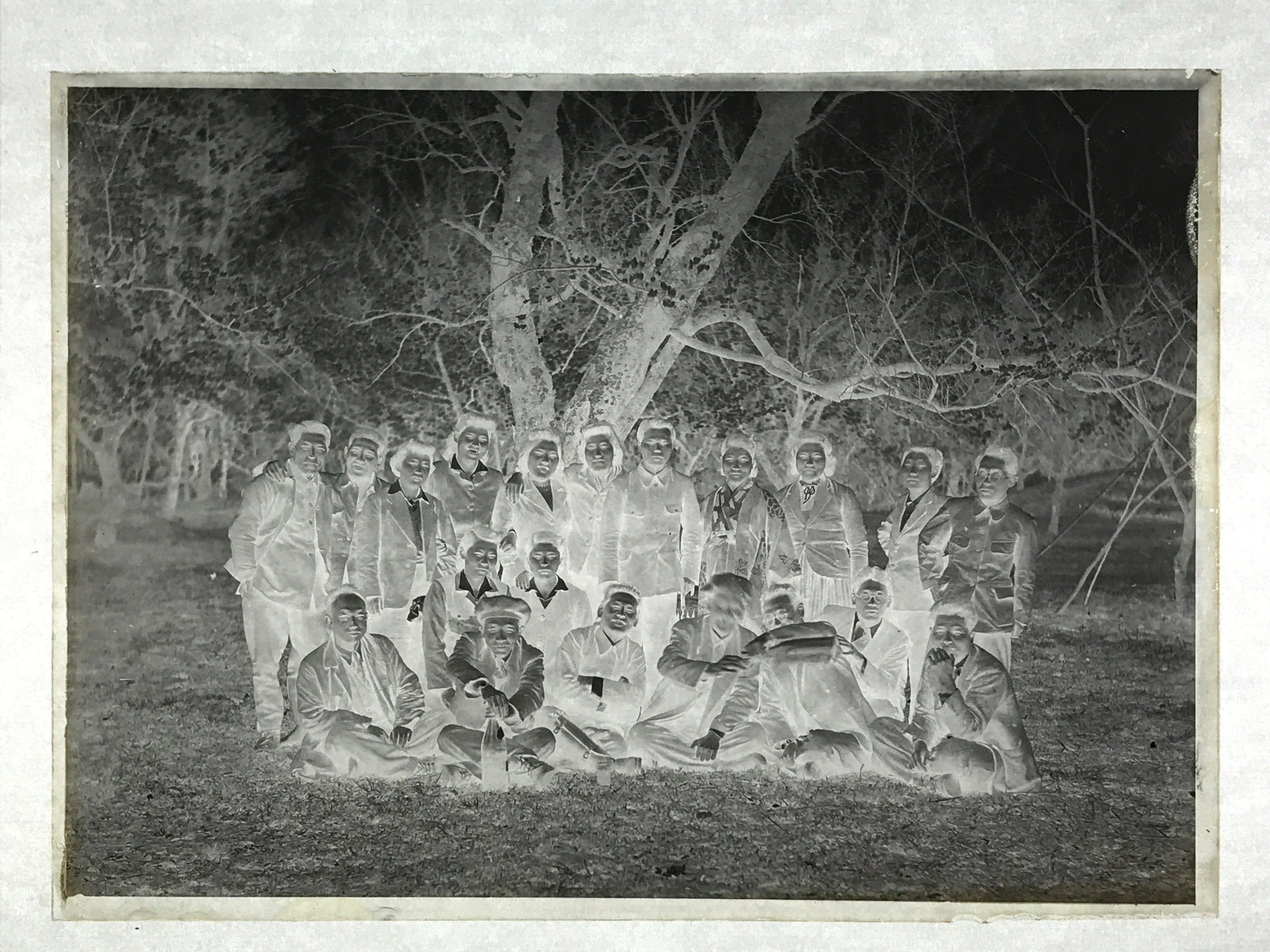 Antique Japanese Photo Glass Negative Plate C1900 Group Western Clothing GN441