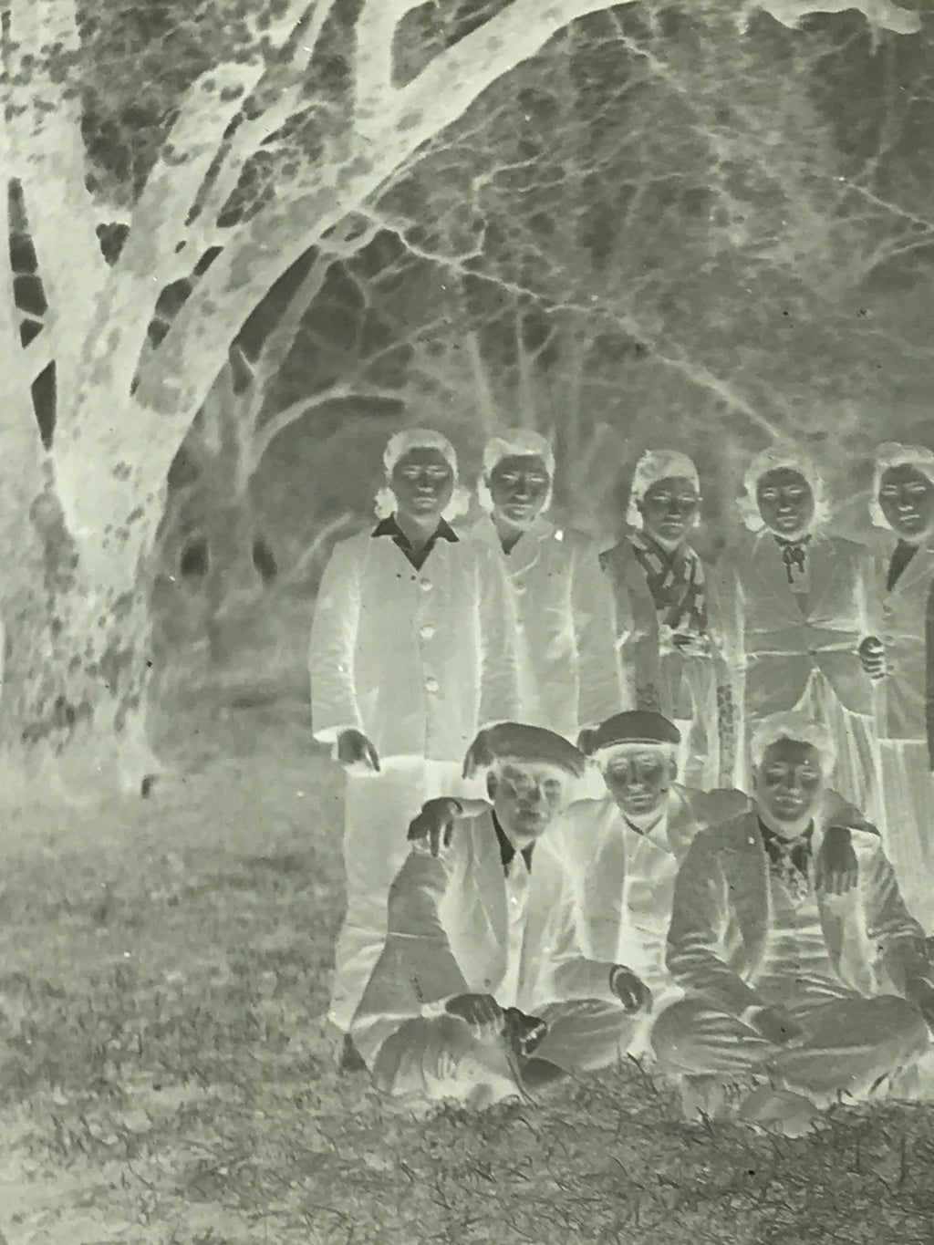 Antique Japanese Photo Glass Negative Plate C1900 Group Young Forest GN442