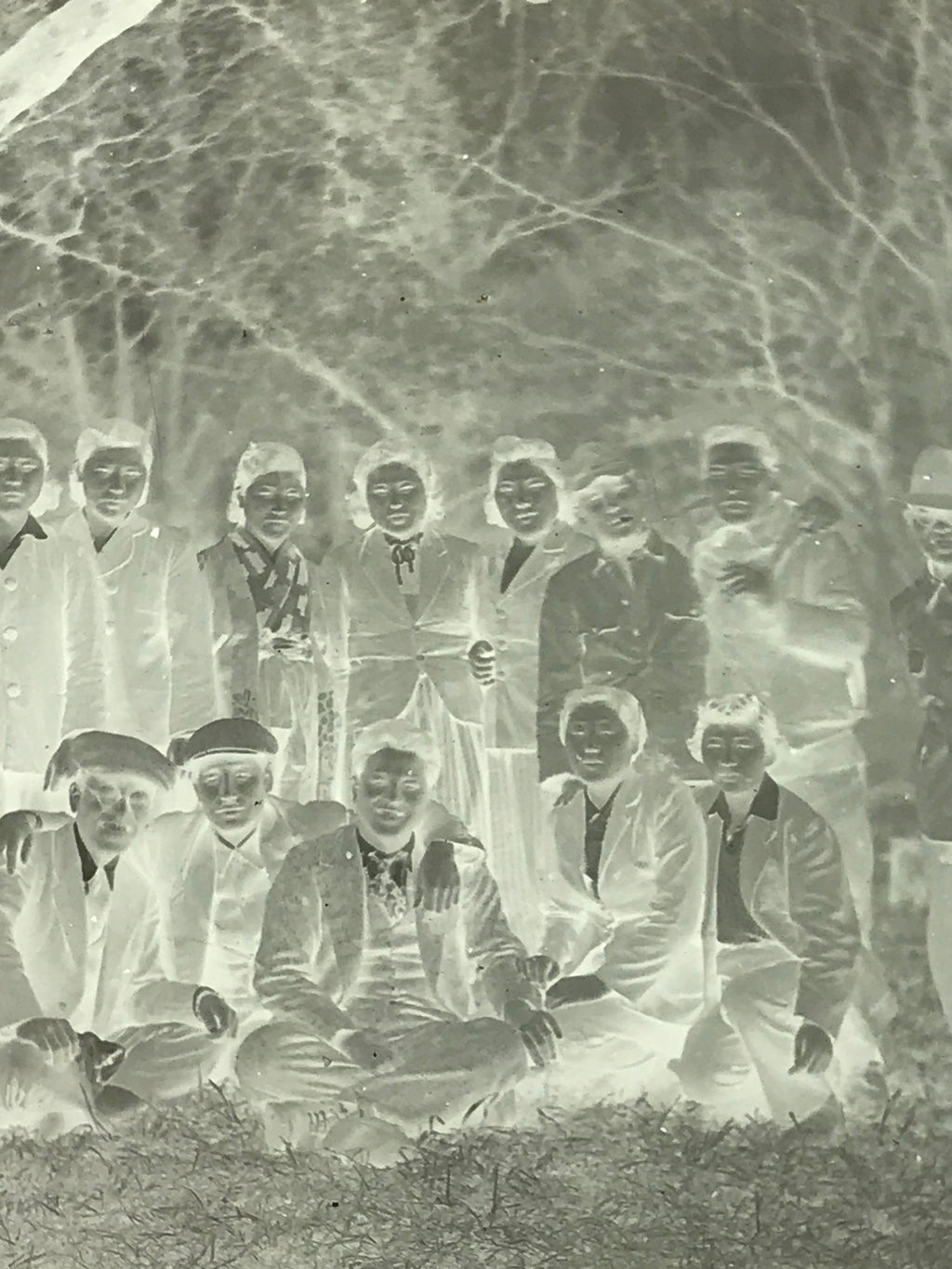 Antique Japanese Photo Glass Negative Plate C1900 Group Young Forest GN442
