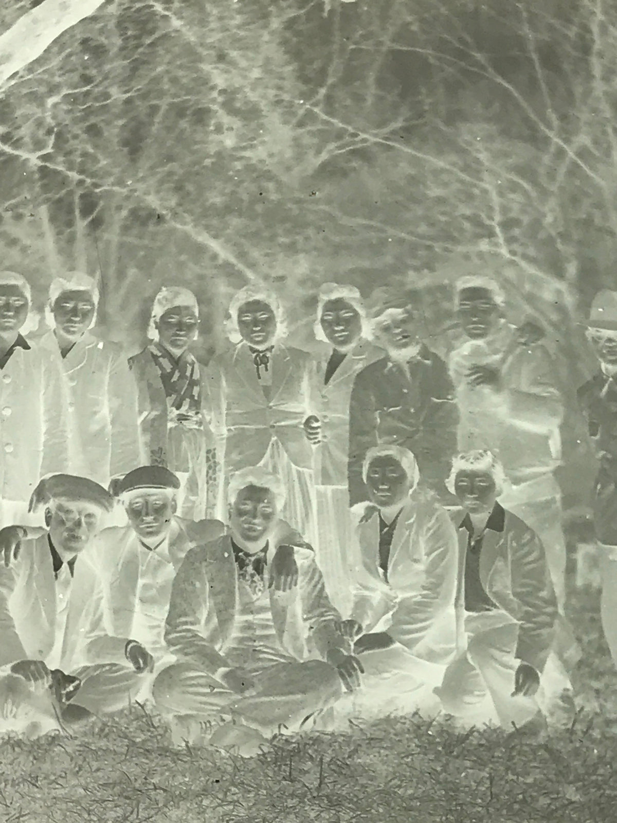 Antique Japanese Photo Glass Negative Plate C1900 Group Young Forest GN442