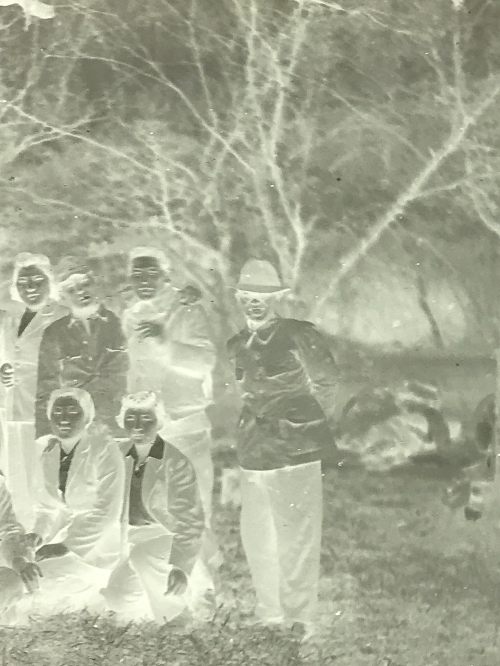Antique Japanese Photo Glass Negative Plate C1900 Group Young Forest GN442