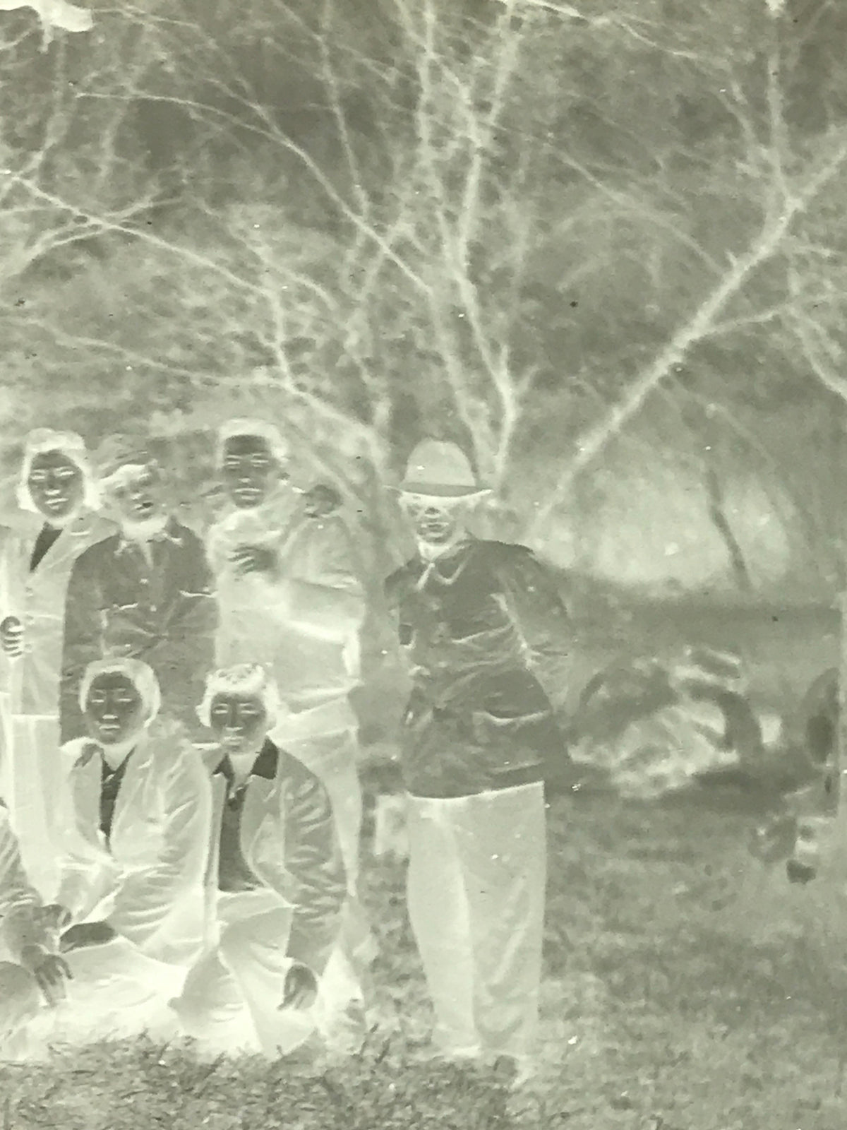 Antique Japanese Photo Glass Negative Plate C1900 Group Young Forest GN442