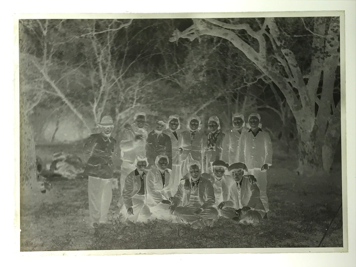 Antique Japanese Photo Glass Negative Plate C1900 Group Young Forest GN442