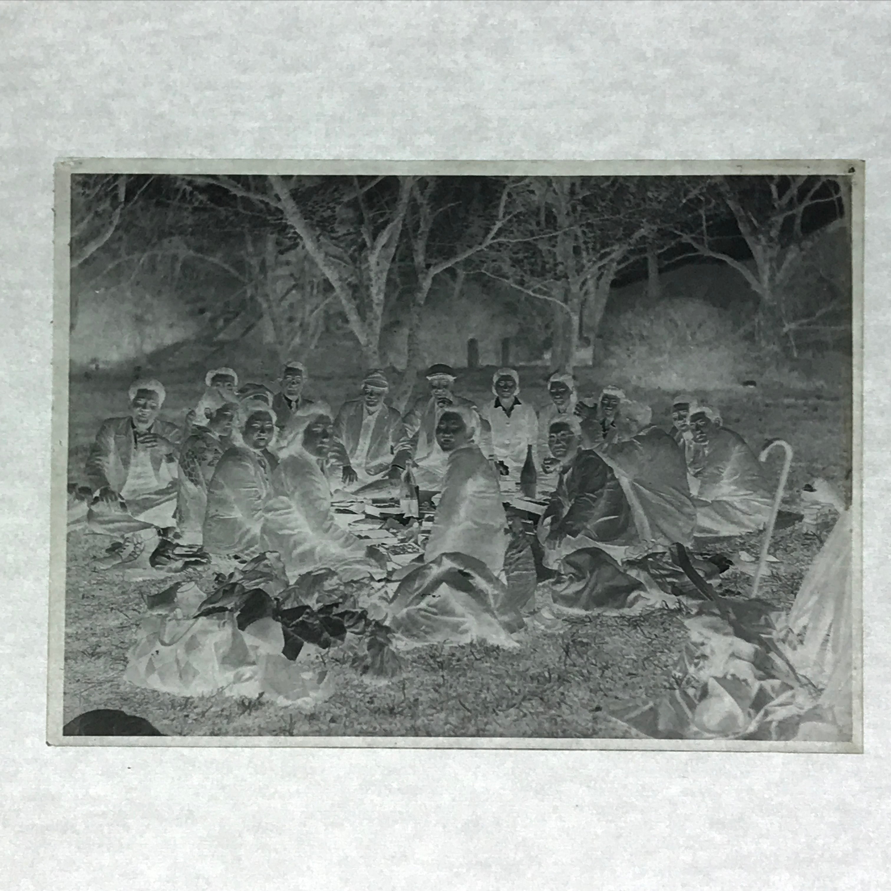 Antique Japanese Photo Glass Negative Plate C1900 Hanami Picnic Group GN444