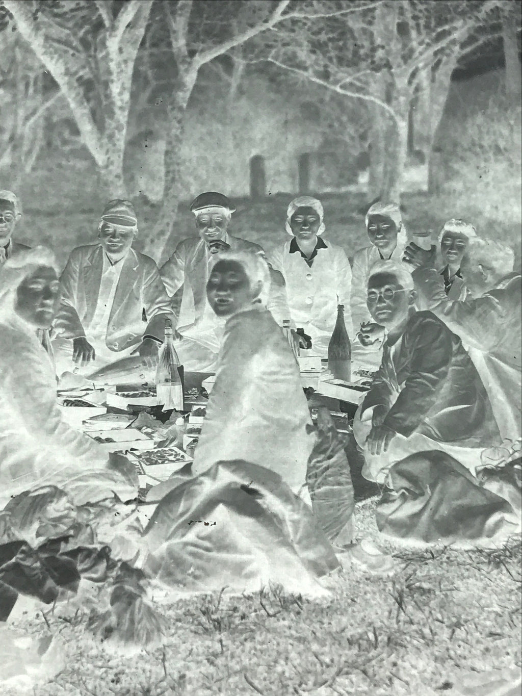 Antique Japanese Photo Glass Negative Plate C1900 Hanami Picnic Group GN444