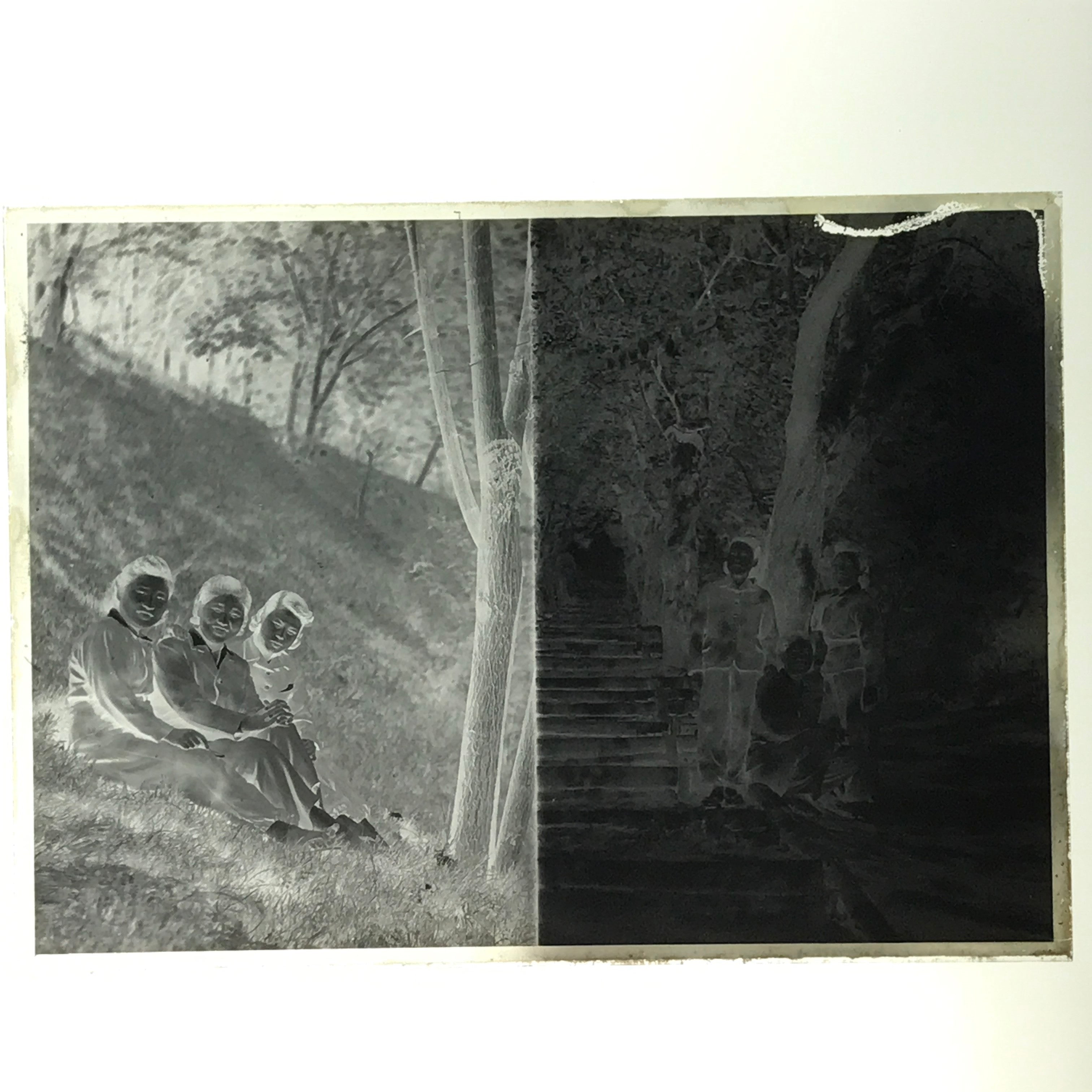 Antique Japanese Photo Glass Negative Plate C1900 Young Women Group GN443