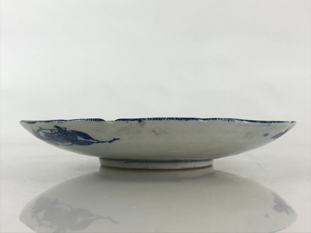 Antique Japanese Porcelain Plate Blue Sometsuke Chrysanthemum Butterfly PY282