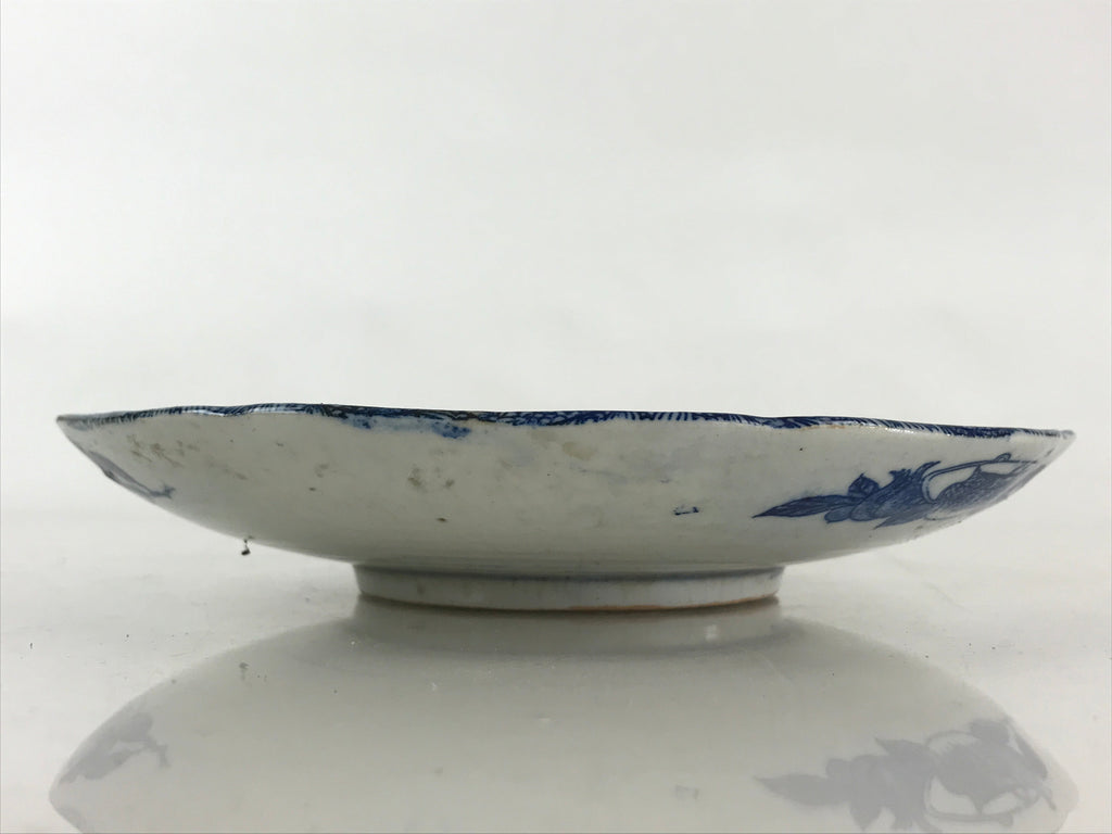 Antique Japanese Porcelain Plate Blue Sometsuke Chrysanthemum Butterfly PY282
