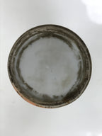 Antique Japanese Porcelain Sake Bottle Tokkuri White Blue Shochikubai Pine TS822