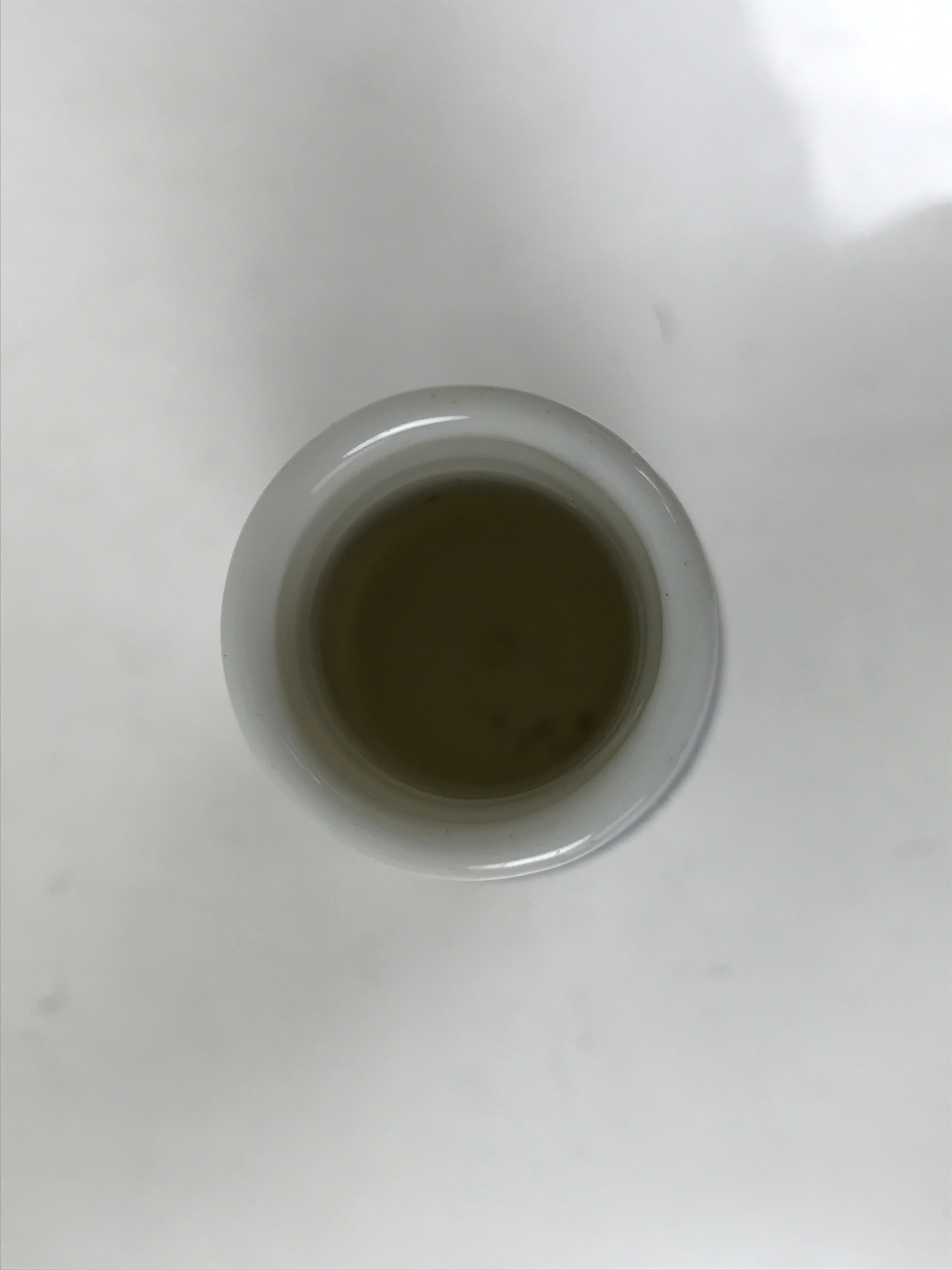 Antique Japanese Porcelain Sake Bottle Tokkuri White Blue Simple Sometsuke TS817