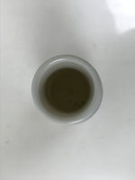 Antique Japanese Porcelain Sake Bottle Tokkuri White Blue Simple Sometsuke TS817