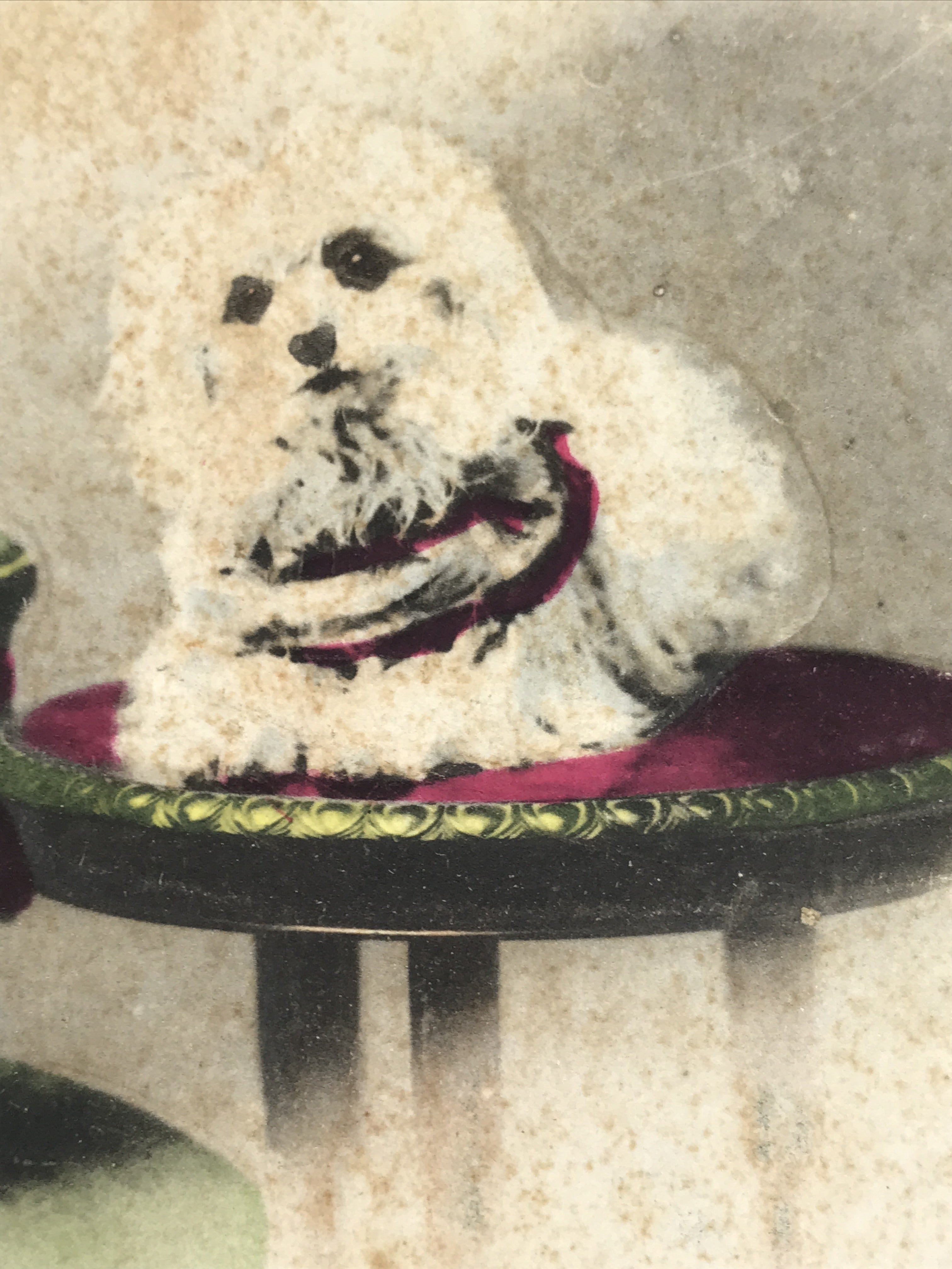 Antique Japanese Postcard 2 Small Dogs C1920 Animal Western Chair Color PC127