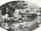 Antique Japanese Postcard Itsukushima Momijidani Park C1920 Black White PC136
