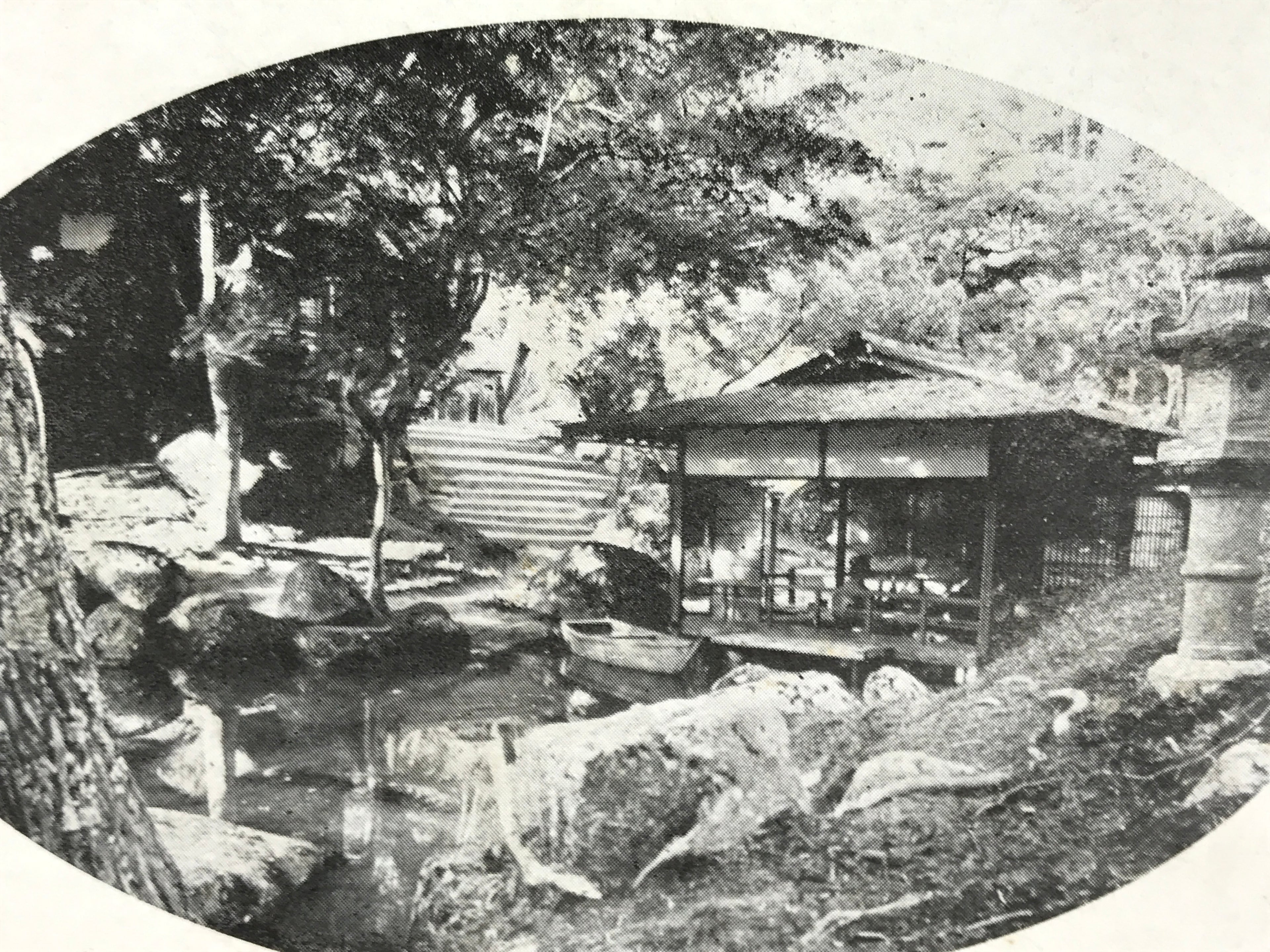 Antique Japanese Postcard Itsukushima Momijidani Park C1920 Black White PC136