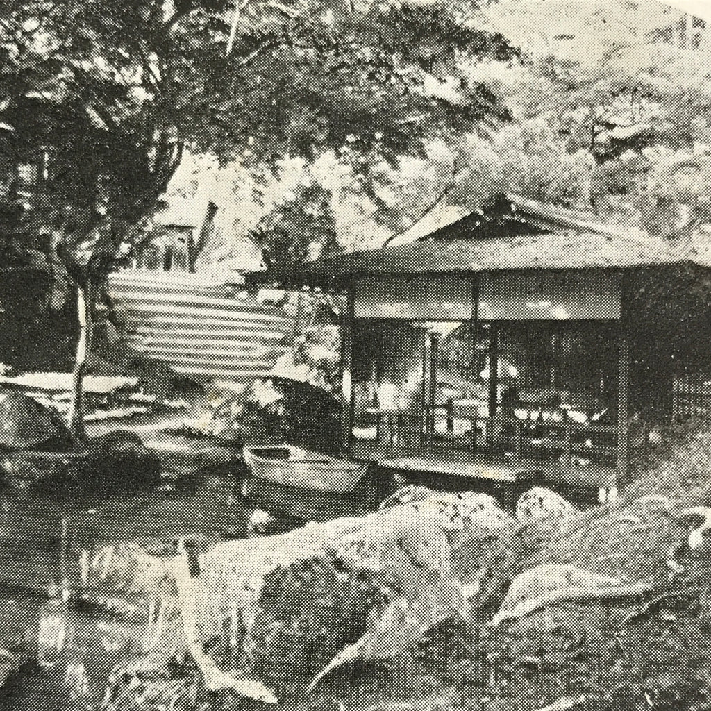 Antique Japanese Postcard Itsukushima Momijidani Park C1920 Black White PC136