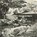 Antique Japanese Postcard Itsukushima Momijidani Park C1920 Black White PC136