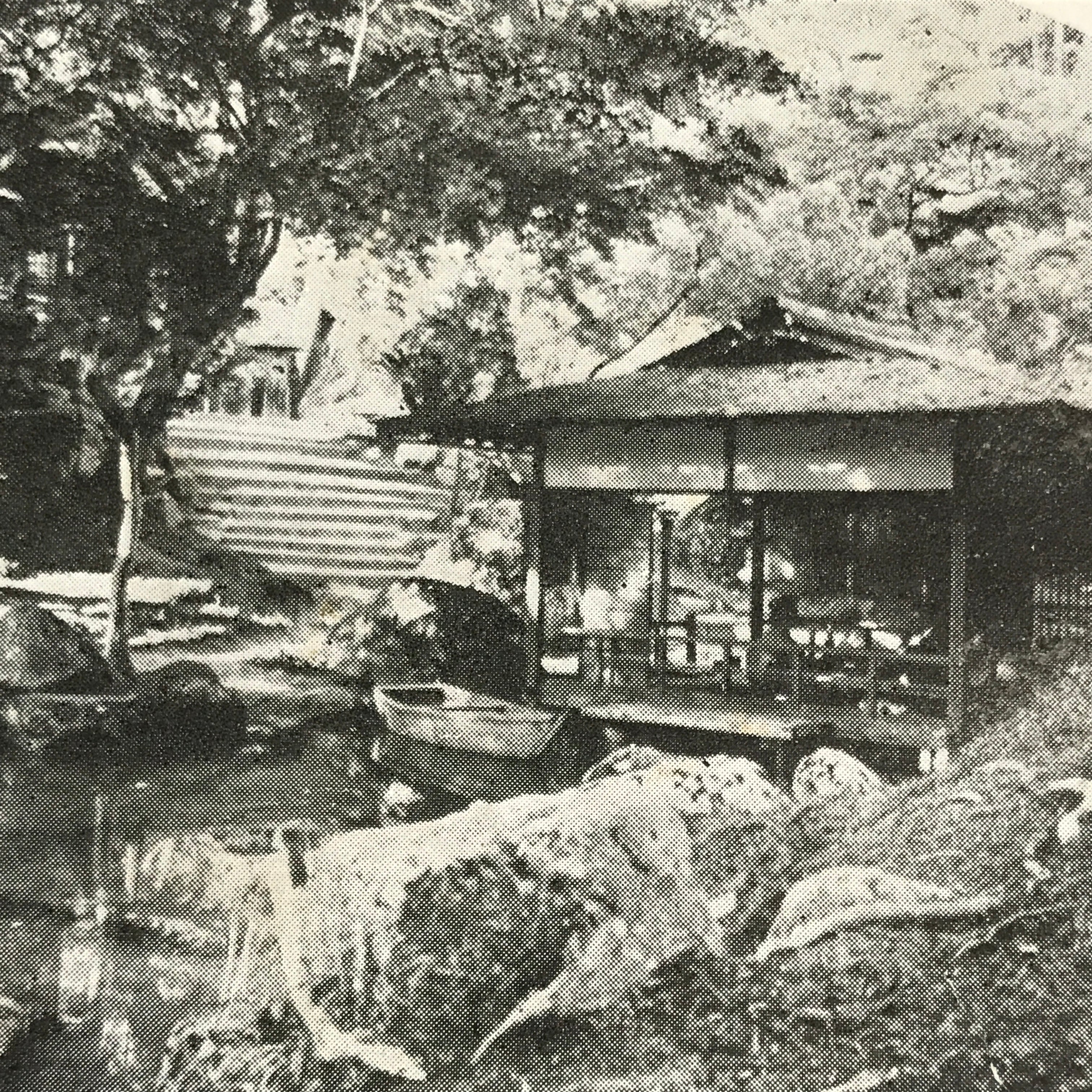 Antique Japanese Postcard Itsukushima Momijidani Park C1920 Black White PC136