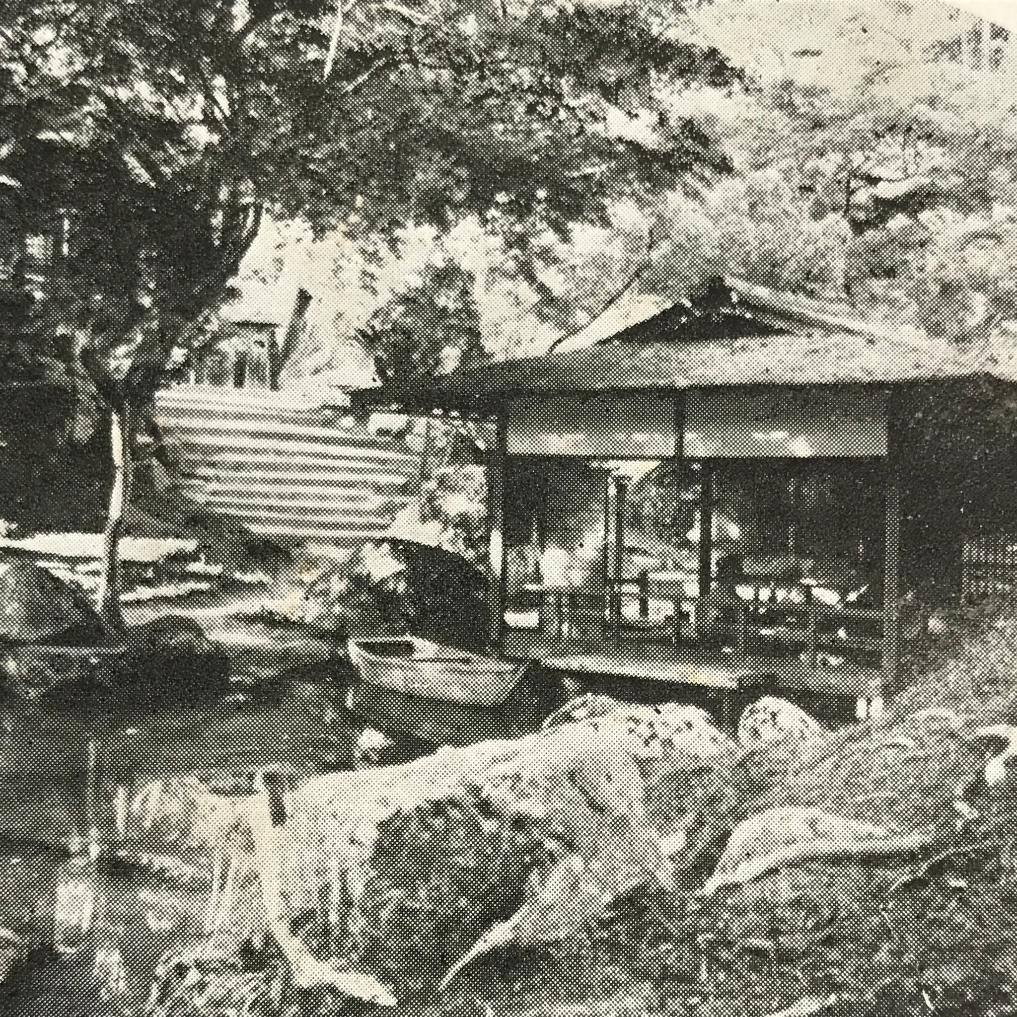 Other Miscellaneous Japanese Items | Online Shop | Authentic Japan