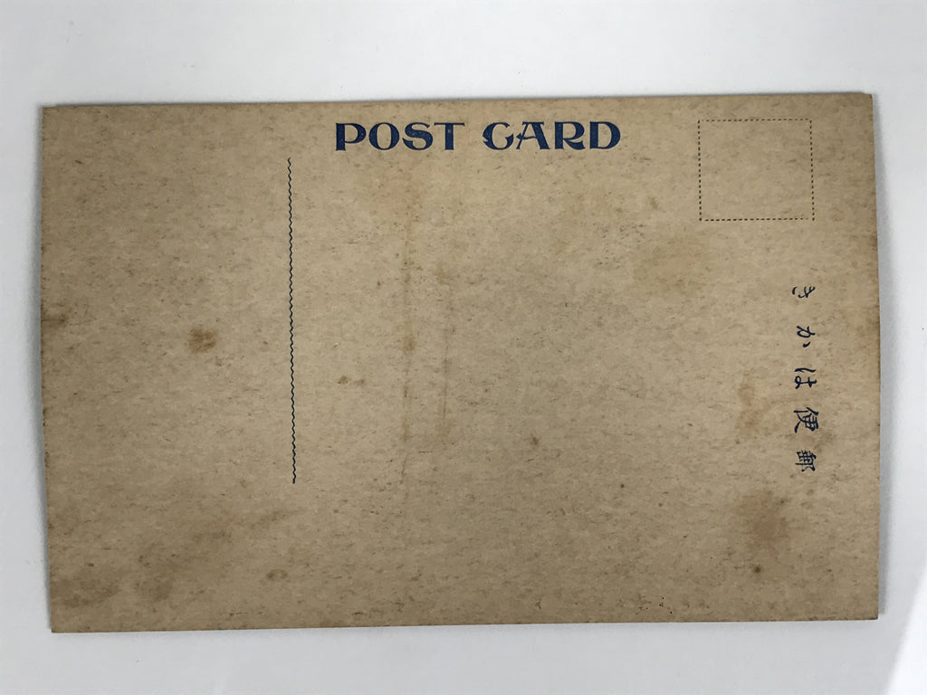 Antique Japanese Postcard Public Health Exhibition Trachoma Hall C1920 BW PC129