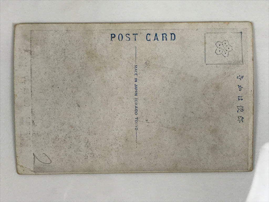 Antique Japanese Postcard Sumo Wrestler Hitachidake Riichi Black White PC99
